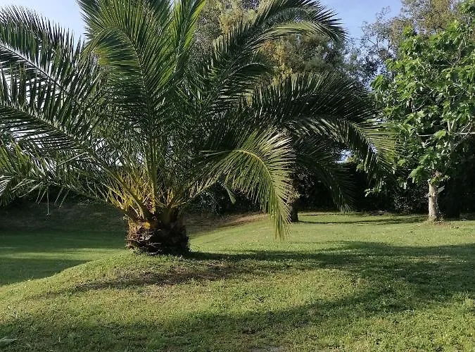 El Encinar De * Noja